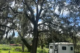 10661 W Highway 40, Ocala, FL 34482 - Photo 7