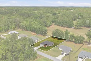 19839 SW 59th Ln, Dunnellon, FL 34431 - Photo 1