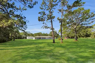 133 Moores Trail, Palatka, FL 32177 - Photo 5