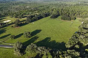 22510 NE 130th Court Rd, Fort Mc Coy, FL 32134 - Photo 3