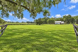 17490 SE 60 St, Morriston, FL 32668 - Photo 5