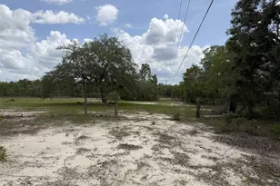 13351 SE 101st Pl, Dunnellon, FL 34431 - Photo 33