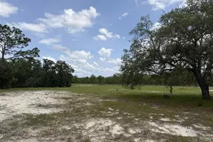 13351 SE 101st Pl, Dunnellon, FL 34431 - Photo 35
