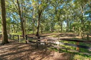 8081 SW 41 Pl Rd, Ocala, FL 34481 - Photo 15