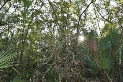 Middle Road, Hilliard, FL 32046 - Photo 9