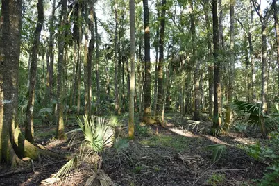 Middle Road, Hilliard, FL 32046 - Photo 21