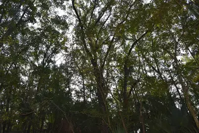 Middle Road, Hilliard, FL 32046 - Photo 11