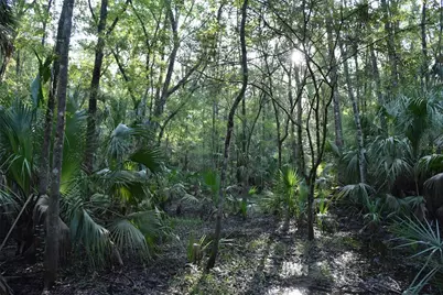 Middle Road, Hilliard, FL 32046 - Photo 13