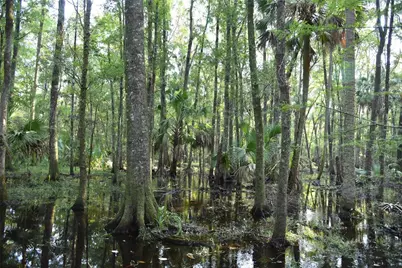 Middle Road, Hilliard, FL 32046 - Photo 25