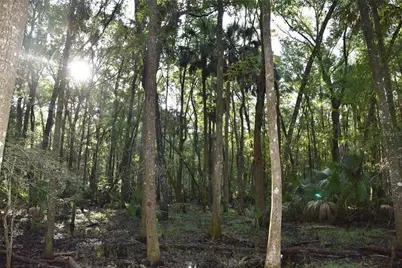 Middle Road, Hilliard, FL 32046 - Photo 23