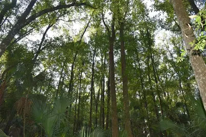 Middle Road, Hilliard, FL 32046 - Photo 17