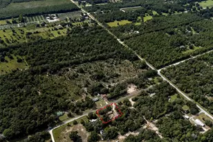 5865 NE 137th Terrace, Williston, FL 32696 - Photo 55