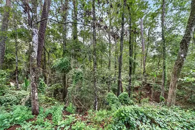 22 Wood Ridge Drive, Ocala, FL 34482 - Photo 85