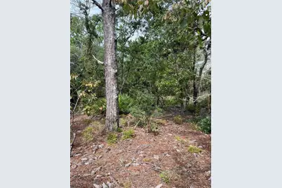 1830 W Stanton Drive, Dunnellon, FL 34434 - Photo 7