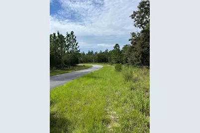 1830 W Stanton Drive, Dunnellon, FL 34434 - Photo 11