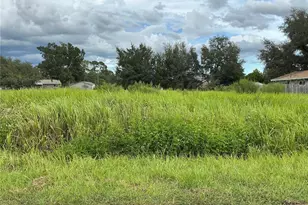 Pine Course Run, Ocala, FL 34472 - Photo 1