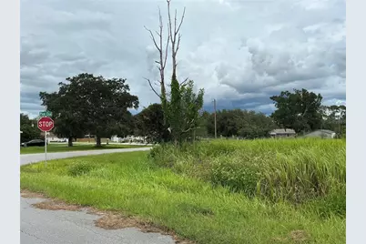 Pine Course Run, Ocala, FL 34472 - Photo 3