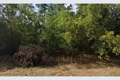 Water Trak, Ocala, FL 34472 - Photo 3
