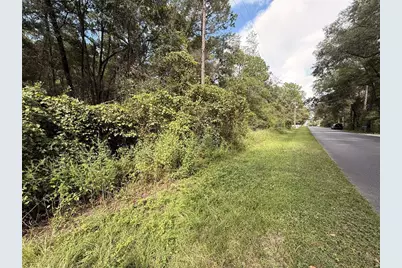 Tbd SW 57th Place, Dunnellon, FL 34431 - Photo 1
