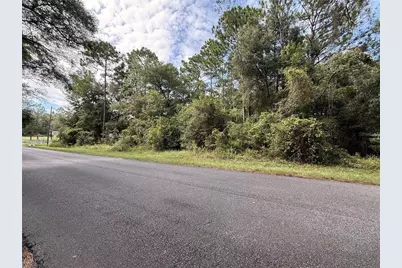 Tbd SW 57th Place, Dunnellon, FL 34431 - Photo 3