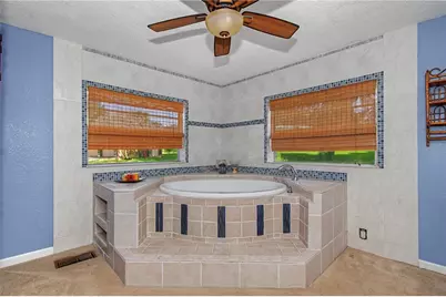 15133 NE 248th Avenue Road, Salt Springs, FL 32134 - Photo 23