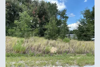 Dogwood Trail Course, Ocala, FL 34472 - Photo 1