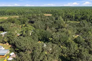 20911 NE 142nd Pl, Salt Springs, FL 32134 - Photo 33