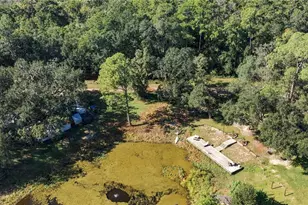 20911 NE 142nd Pl, Salt Springs, FL 32134 - Photo 39