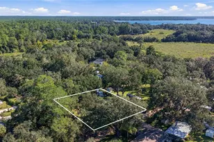 20911 NE 142nd Pl, Salt Springs, FL 32134 - Photo 35