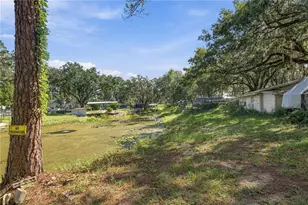 20911 NE 142nd Pl, Salt Springs, FL 32134 - Photo 31
