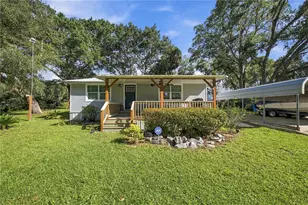 20911 NE 142nd Pl, Salt Springs, FL 32134 - Photo 1
