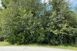Dogwood Trail Run, Ocala, FL 34472 - Photo 1