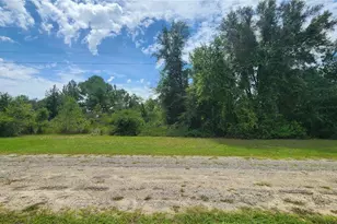 608 E Irene Ln, Citrus Springs, FL 34434 - Photo 1