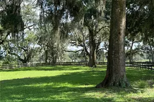 6597 W Hwy 326, Ocala, FL 34482 - Photo 15