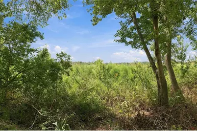 17490 SE 24th Lane Road, Silver Springs, FL 34488 - Photo 97