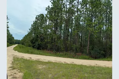 Sw Tbd SW 125th Court Road, Ocala, FL 34481 - Photo 1