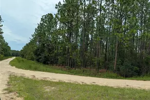 SW Tbd SW 125th Ct Rd, Ocala, FL 34481 - Photo 1