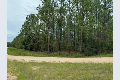 Sw Tbd SW 125th Court Road, Ocala, FL 34481 - Photo 3
