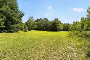 18875 NW Hwy 335, Williston, FL 32696 - Photo 67
