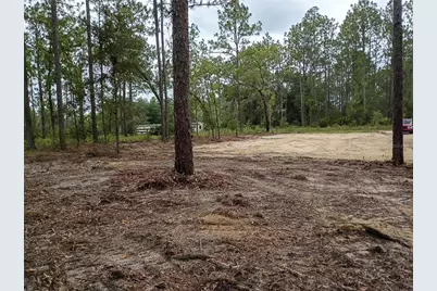 16327 SW 24th Place, Ocala, FL 34481 - Photo 3