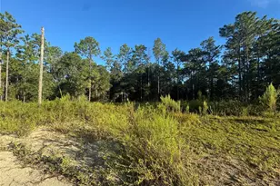 16327 SW 24th Pl, Ocala, FL 34481 - Photo 1