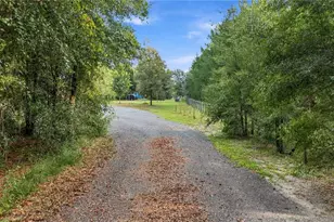 20051 E Levy St, Williston, FL 32696 - Photo 5