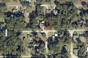 0 SE 140th, Summerfield, FL 34491 - Photo 1