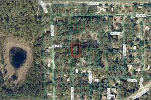 0 SE 160th, Ocklawaha, FL 32179 - Photo 1