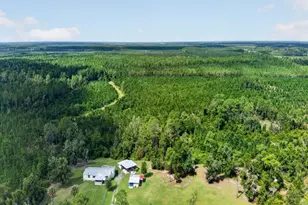 18748 NE 148th Terrace Rd, Fort Mc Coy, FL 32134 - Photo 51