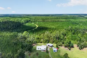 18748 NE 148th Terrace Rd, Fort Mc Coy, FL 32134 - Photo 49