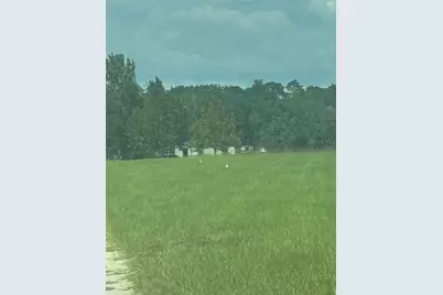 9851 NE 60 Street, Bronson, FL 32621 - Photo 1