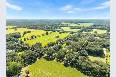 553 NE 205th Avenue, Williston, FL 32696 - Photo 7