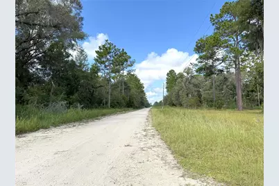 12451 NE 15th St, Williston, FL 32696 - Photo 15