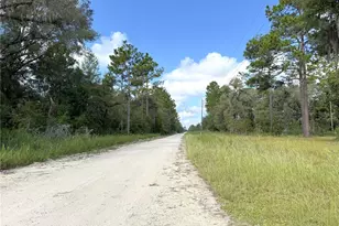 12451 NE 15 St, Williston, FL 32696 - Photo 15